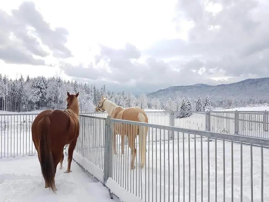 Ranch Marina Hotel Koce Kültér fotó